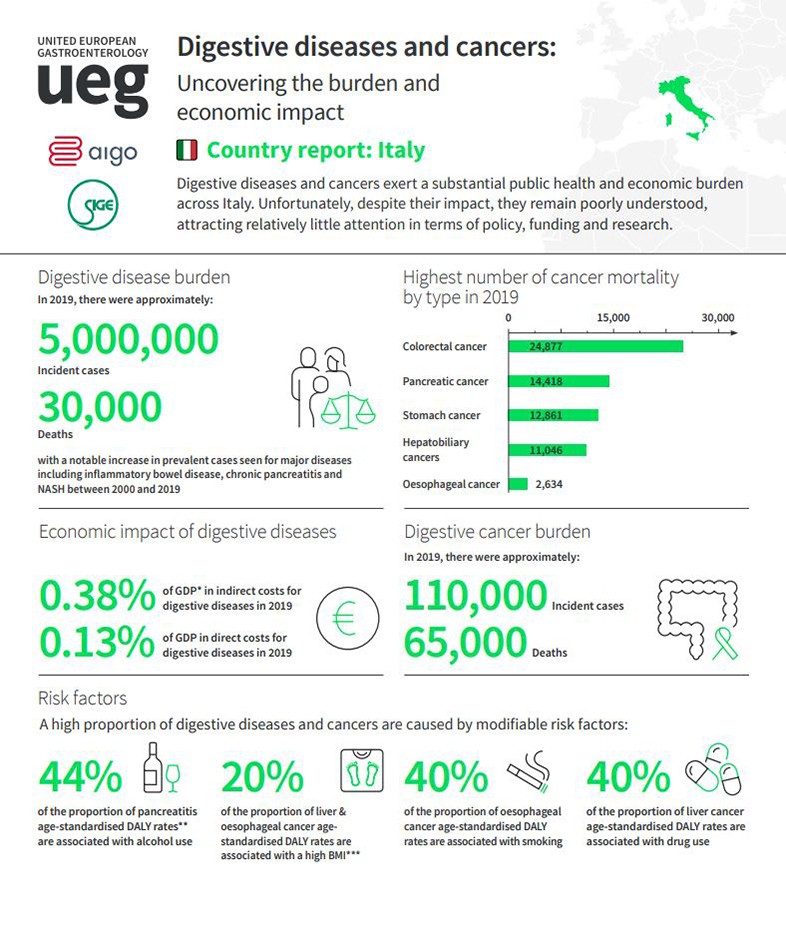 National Society Factsheet Italy