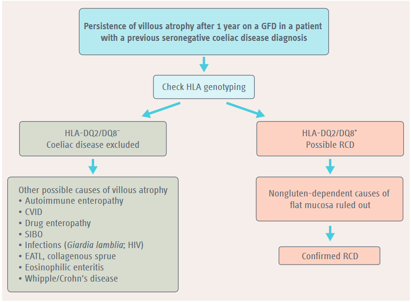 Evaluation of persistent villous atrophy in seronegative coeliac disease.