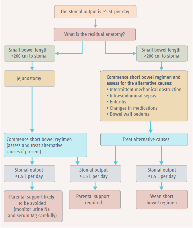 Suggested algorithm for assessing and managing high stomal output